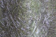 Anderby fibreglass roof work